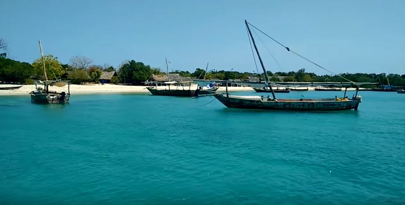 Safari Blue Zanzibar