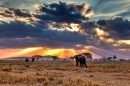 Serengeti National Park