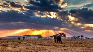 Serengeti National Park