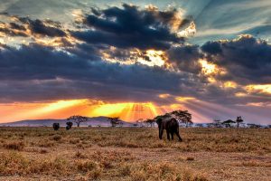 Serengeti National Park