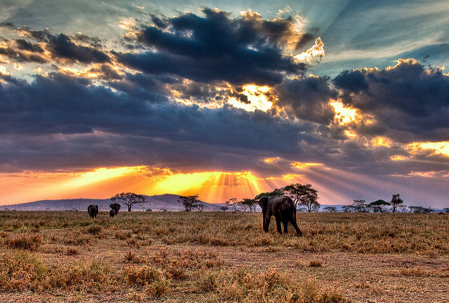 Serengeti National Park