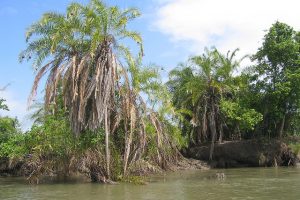 Saadani National Park