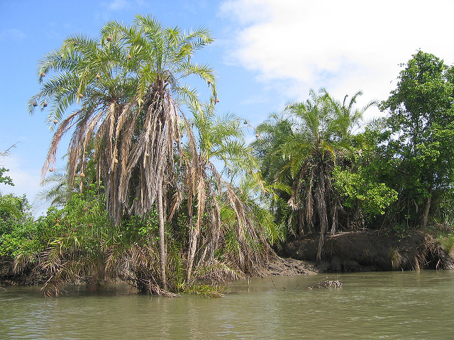 Saadani National Park