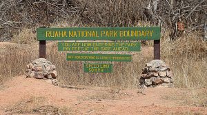 Ruaha National Park