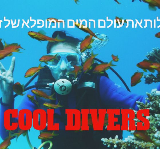 מועדון צלילה בזנזיבר