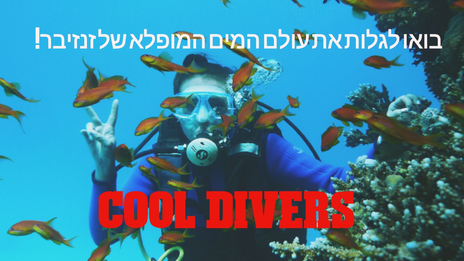 אטרקציה מומלצת: צלילה בזנזיבר